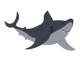 Hai Sealife Tier vektor