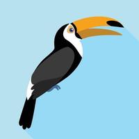 toucan sång ikon, platt stil vektor