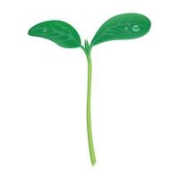 Pflanzensymbol aufwachsen, realistischer Stil vektor