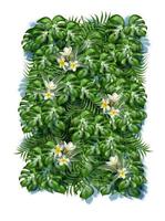 3d realistisk tropisk löv bakgrund med frangipani blommor. vektor