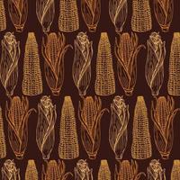 vektor vegetabiliska bakgrund. hand dragen klotter majs kolvar och majs korn mönster