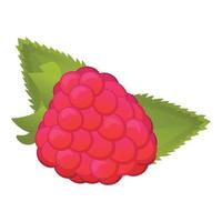 frukt hallon ikon, tecknad serie stil vektor