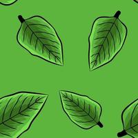vektor sömlös mönster blad socker färsk, vektor illustration grön abstrakt tektur linje , begrepp företag mall