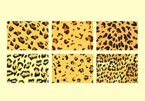 Freie Leopard-Muster-Vektoren vektor