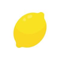 saure gelbe Zitrone zum Kochen und Zitronensaft vektor