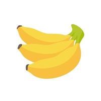 Bananenvektor. gelbe frucht für vegetarische gesundheit vektor