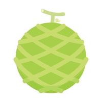 melon vektor. melon på vit bakgrund. tapet. logotyp design. vektor