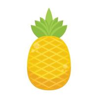 ananas vektor. ananas på vit bakgrund. symbol. logotyp design. vektor
