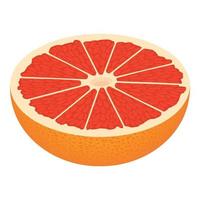 halb geschnittene Grapefruit-Ikone, isometrischer Stil vektor