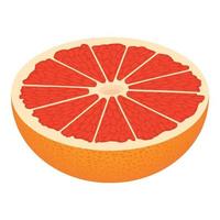 halv cutted grapefrukt ikon, isometrisk stil vektor