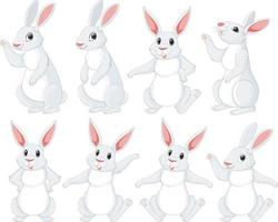 vit kaniner i annorlunda poser uppsättning vektor