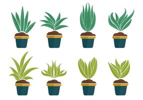 Freie Yucca Pflanze Icons Vector