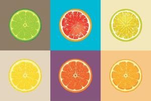 citron- orange frukt skiva vektor illustration uppsättning