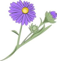 violette Blume isoliert auf weißem Hintergrund vektor