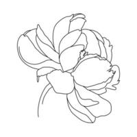 Adobe-Illustrator-Grafik. Blume eine Strichzeichnung. durchgehende linie der einfachen blumenillustration. abstrakte zeitgenössische botanische Designvorlage für minimalistische Cover, T-Shirt-Druck. vektor