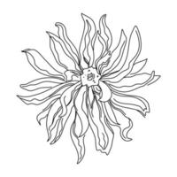 adobe illustratör konstverk. blomma ett linje teckning. kontinuerlig linje av enkel blomma illustration. abstrakt samtida botanisk design mall för minimalistisk täcker, t-shirt skriva ut. vektor