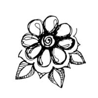 Umriss Blume. schwarze handgezeichnete Doodle-Skizze. schwarze Vektorillustration lokalisiert auf Weiß. Strichzeichnungen. vektor