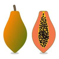 papaya frukt samling uppsättning. tropisk frukt exotisk vegan mat på vit bakgrund. vektor illustration. eps 10.