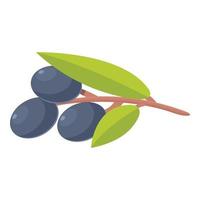 svart oliver löv ikon tecknad serie vektor. svart frukt vektor