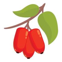 Goji-Frucht-Symbol Cartoon-Vektor. Beerenpflanze vektor