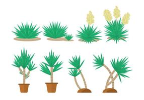 Freie Yucca Pflanze Sammlungen vektor