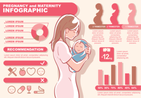 Schwangerschaft und Mutterschaft Infografik vektor