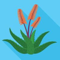 Aloe Vera Blumensymbol, flacher Stil vektor