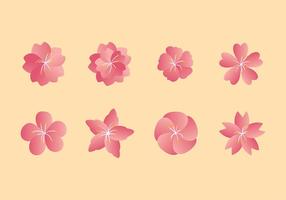 Peach Blossom Set Free Vector