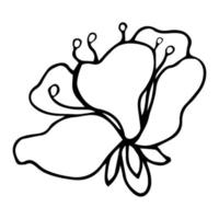 Sakura-Blume-Doodle-Symbol. Rückenlinie isoliert auf weiß. eine linie kontur blumenzeichnung. vektorillustration vektor