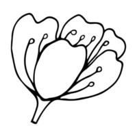 skiss av vårblommor av kvitten, mandel, äppelträdsgrenar med knoppar och blommor. handrita botaniska doodle vektorillustration i svart kontrast med vit fyllning. vektor