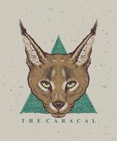 caracal katt årgång stil illustration vektor