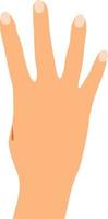 de siffra av fingrar är fyra. manuell konto. vektor illustration av människor finger tal