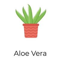 trendig aloe vera vektor