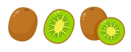 halverad kiwi frukt friska mat för vegetarianer vektor
