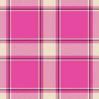 Stoff Textur Vektor. hintergrund kariert tartan. Textiles nahtloses Karomuster. vektor