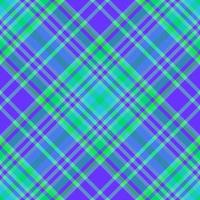 Stoff mit Karomuster. Tartan Textilhintergrund. Textur prüfen nahtloser Vektor. vektor