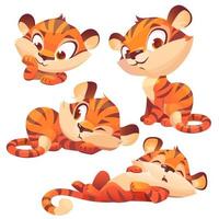 set cartoon baby tiger, niedlichen tierjungen charakter vektor