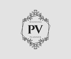 pv initialer brev bröllop monogram logotyper samling, hand dragen modern minimalistisk och blommig mallar för inbjudan kort, spara de datum, elegant identitet för restaurang, boutique, Kafé i vektor