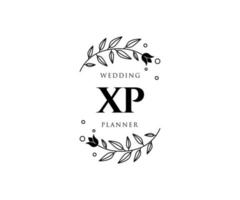 xp initialen brief hochzeitsmonogramm logos sammlung, handgezeichnete moderne minimalistische und florale vorlagen für einladungskarten, save the date, elegante identität für restaurant, boutique, café im vektor