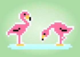 8-bitars pixel flamingo. fåglar på vektorillustrationer. vektor