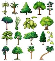 uppsättning olika växter och träd vektor