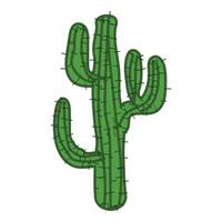 öken- kaktus ikon, tecknad serie stil vektor