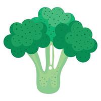 färsk broccoli grönsak vektor