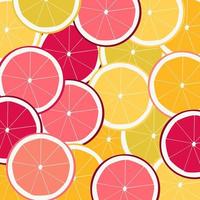 baner, knapp, klistermärke, bakgrund med citron, orange, grapefrukt skivor vektor