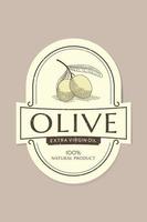 Olivenöl-Etikettenvorlage mit Olivenzweig im Vintage-, handgezeichneten und Linienstil vektor