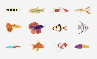 akvarium fisk vektor i platt design