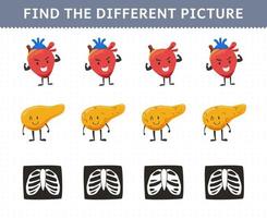 Lernspiel für Kinder finden Sie das andere Bild in jeder Reihe niedlichen Cartoon menschliche Anatomie und Organ Herz Bauchspeicheldrüse Rippe Röntgen vektor