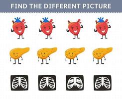utbildning spel för barn hitta de annorlunda bild i varje rad söt tecknad serie mänsklig anatomi och organ hjärta bukspottkörteln revben röntgen vektor