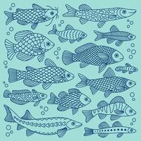 vektor klotter uppsättning av fisk av annorlunda former med olika ritad för hand mönster, isolerat. marin djur, hav, resa.