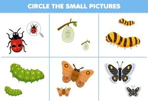 utbildning spel för barn välja de små bild av söt tecknad serie nyckelpiga kokong silkesmask larv fjäril fjäril tryckbar insekt kalkylblad vektor